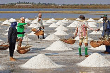 salt production by salt farmers